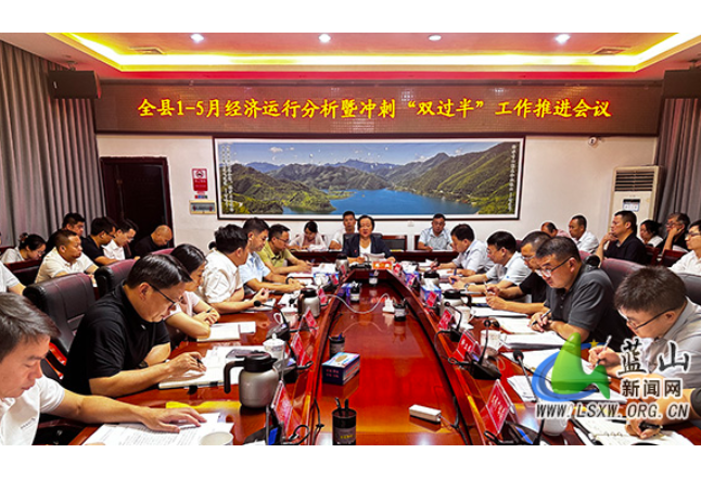 蓝山县召开1-5月经济运行分析暨冲刺“双过半”工作推进会