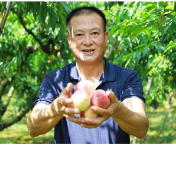新田：尝鲜正当时！早桃抢先上市解锁夏日甜蜜滋味