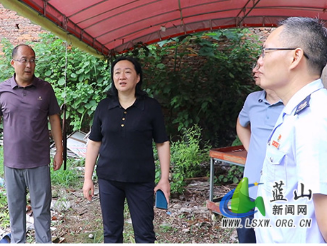 蓝山：邓群现场调研国有资产处置工作