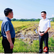 江华:袁章中到乡镇调研粮食生产工作