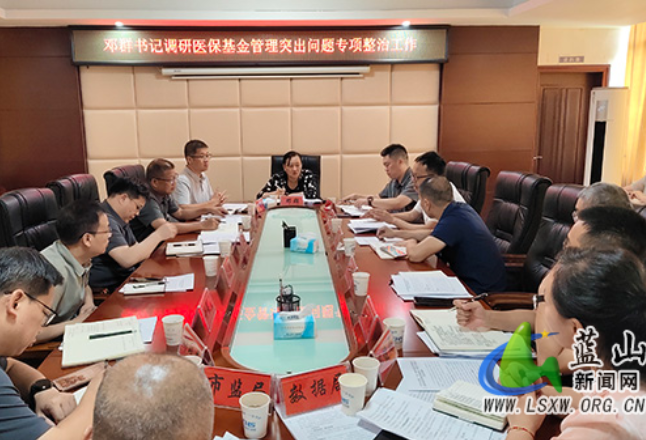 蓝山：邓群调研医保基金管理突出问题专项整治工作