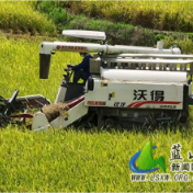 蓝山:收割烘干“无缝衔接” 筑牢夏粮丰收防线