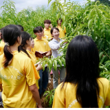 湖南江永:驻点连片聚合力 高校智库赋能瑶乡振兴
