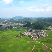 新田:翠峰环碧野 绿意染石羊(组图)