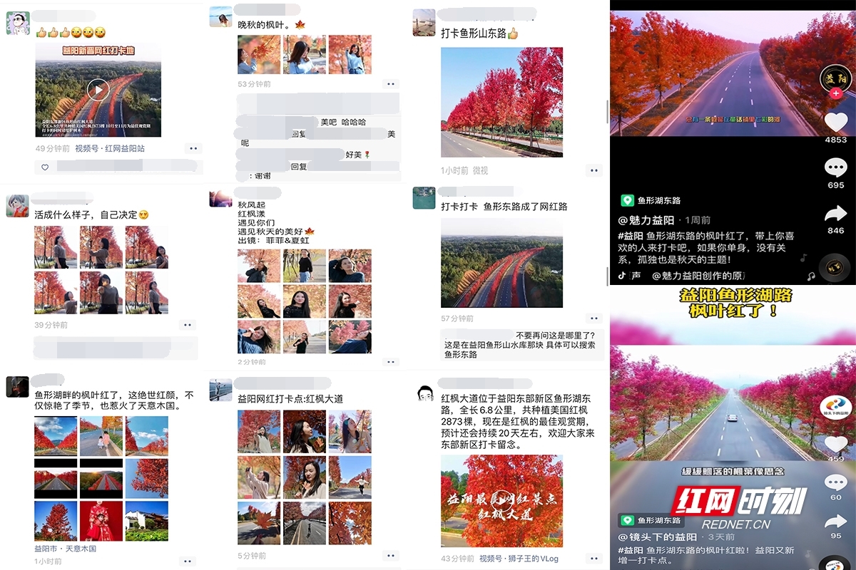 1_看图王.jpg