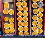 央媒看益阳 | 湖南安化：水果丰收季 多渠道助力销售