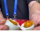 文旅“薇”观察② | 咸鸭蛋、手撕鱼、脆笋……资阳展区全都有!