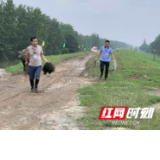 南县三仙湖镇：防汛禁捕两手抓 让禁捕铁令生威