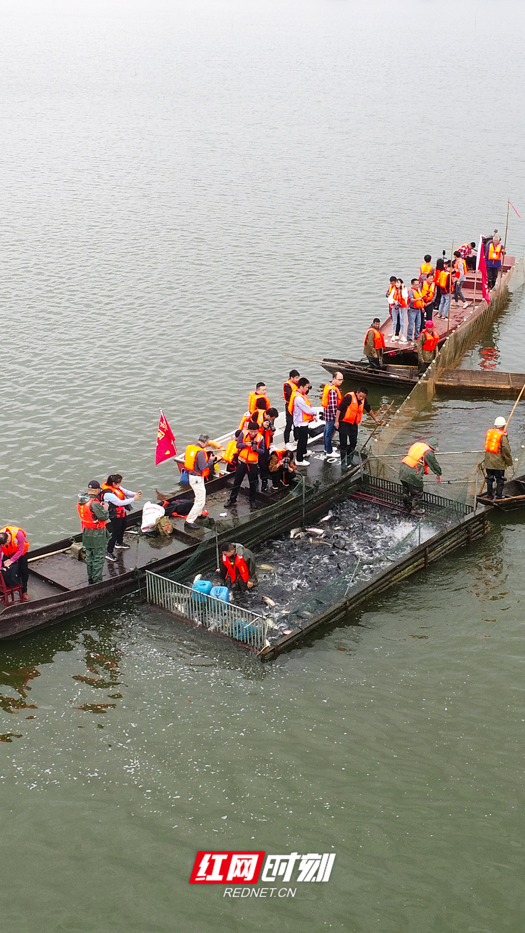 红网时刻益阳9月20日讯（记者 钟浩 通讯员 黄拥军）9月20日，益阳市庆祝第三个“中国农民丰收节”暨“沅江大头鱼”捕捞美食节活动在沅江浩江湖举行。当天，在内湖人放天养的“大头鱼”迎来了大丰收。