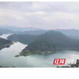 镇镇有声·安化⑦｜南金乡：守山护水十二载 客满之日终可期