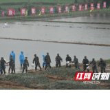 视频 | 益阳：全面做好防汛抗灾准备 瞿海观摩湖区防汛抢险演练