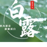 视频丨竹廉桃江谈“白露”：取天地正气  荡世间污浊