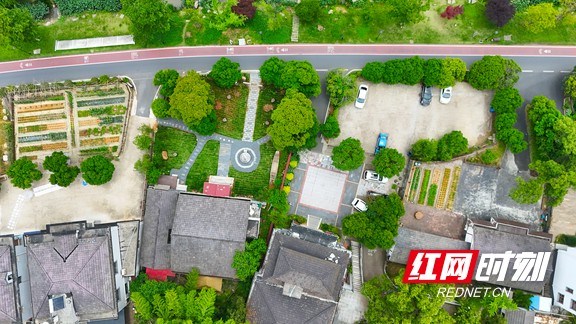 dji_20250119205707_0076_d.marked.jpg