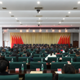 桃江六大产业均破百亿大关