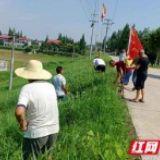 “党建+人居环境整治”  南县武圣宫镇助力乡村振兴