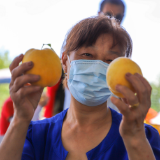 视频 | 益阳赫山:“种”出来的幸福生活