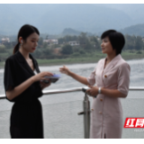 天猫直播溯源安化黑茶原产地