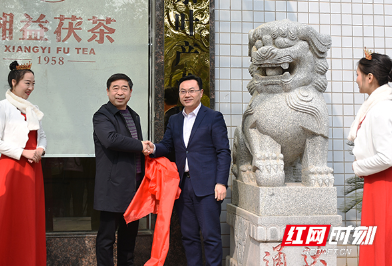 视频｜益阳市茶叶产业联盟正式成立