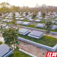 南县殡葬改革 要把方寸地留与子孙耕