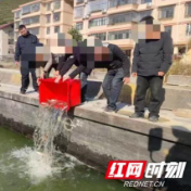 安化县生态补偿放流鱼苗入资江
