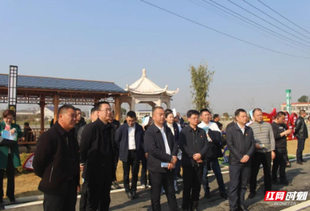 赫山区乡村振兴流动现场会走进衡龙桥镇