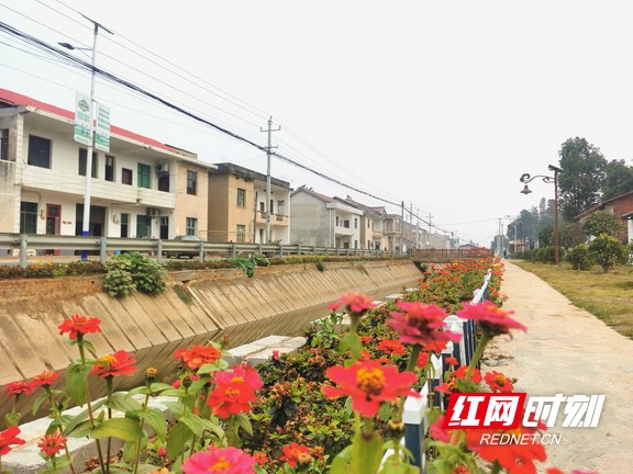 3d181874778cbe0eba7baf9c57831be.marked.jpg
