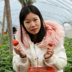 视频 | 益阳赫山：寒冬草莓红 暖棚春意闹