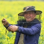 视频丨益阳赫山：甜蜜事业又“蜂”收