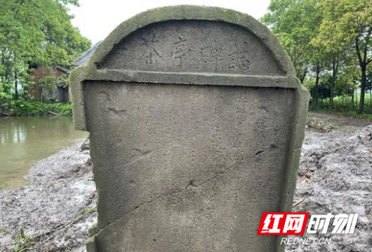 一座茶亭一份情 沅江市政协“微协商”听民声助力善行传承