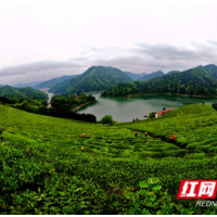 中秋假期64.7万人次游益阳 实现旅游总收入6.2亿元