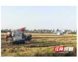 南县茅草街镇：农机助力秋收，力保颗粒归仓