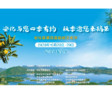 10月28日，安化第四届柑桔节要来了！好吃又好玩赶紧约起！