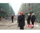 桃江经开区：开展建筑施工安全隐患大排查大整治专项检查