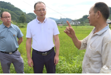 刘勇会调研早稻收购工作 要求确保粮食安全工作落到实处