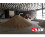 资阳区新桥河镇扎实推进早稻收购工作