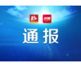 益阳市招标代理机构和评标专家违规情况通报