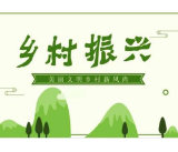 代表风采 | 罗娟：立足企业平台 积极履职尽责