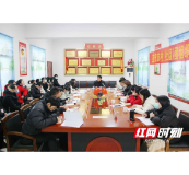 试点观摩统一部署 益阳市“四个到位”推进村（社区）团组织换届