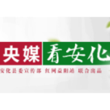 央视网 | 安化县茶旅融合，茶园成为旅游打卡地