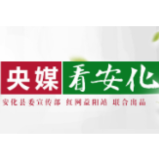 中国新闻网 | 安化黑茶千年飘香 茶旅文康探路乡村振兴