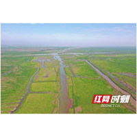 益阳沅江:筑牢生态屏障 守护“候鸟天堂”