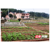 桃江:“六个一”工程共建美好人居环境
