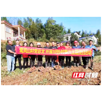 赫山区岳家桥镇:主题党日挖红薯 为民服务解难题
