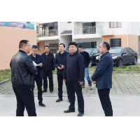 付振南到资阳区新桥河镇调研指导工作