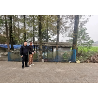 沅江公安：“顺”回家的一只金毛犬把他“送”进了看守所