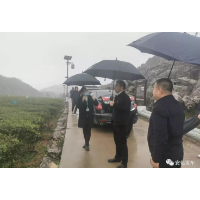周贤到马路镇调研指导工作