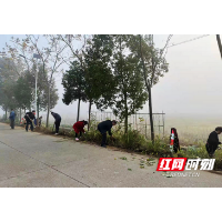 赫山区泉交河镇：自发开展人居环境整治 擦亮美丽乡村底色