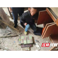 桃江一男子拉车门盗窃 作案4起落法网