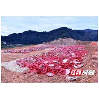 百日攻坚丨安化集中销毁一批非法烟花爆竹