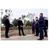 罗必胜走访调研阳罗洲镇工作
